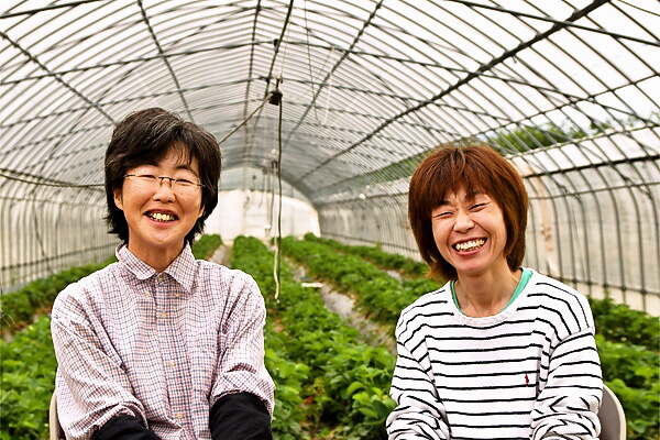 野菜づくりについて農家から